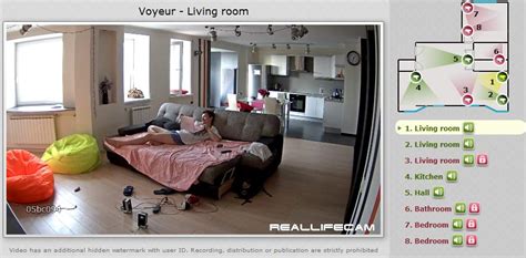 realifecam.com|Voyeur House 